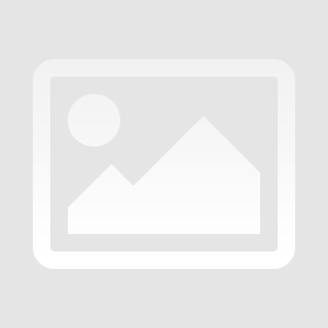 Mycelium de Morille et grains stérilisés